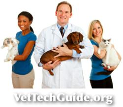 Vet Tech Guide